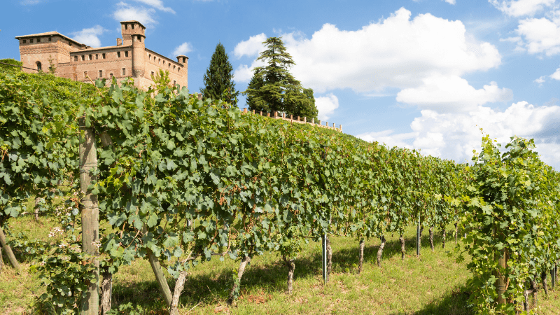 Basso Piemonte